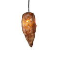 Arche Sculptural Pendant Lamp Unique by William C Stuart N°6