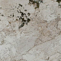 Alpinus Marble