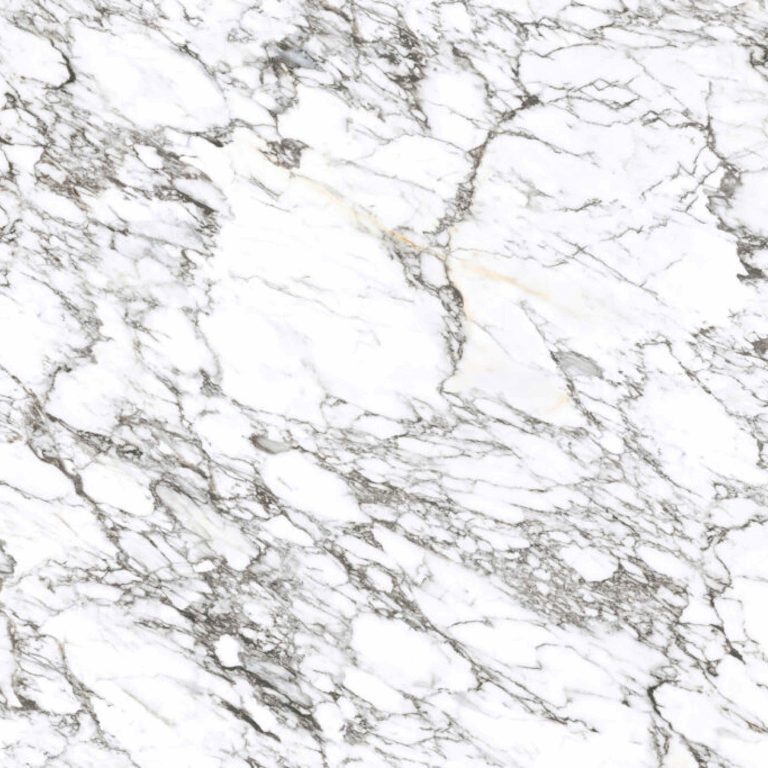 Arabescato Select Marble