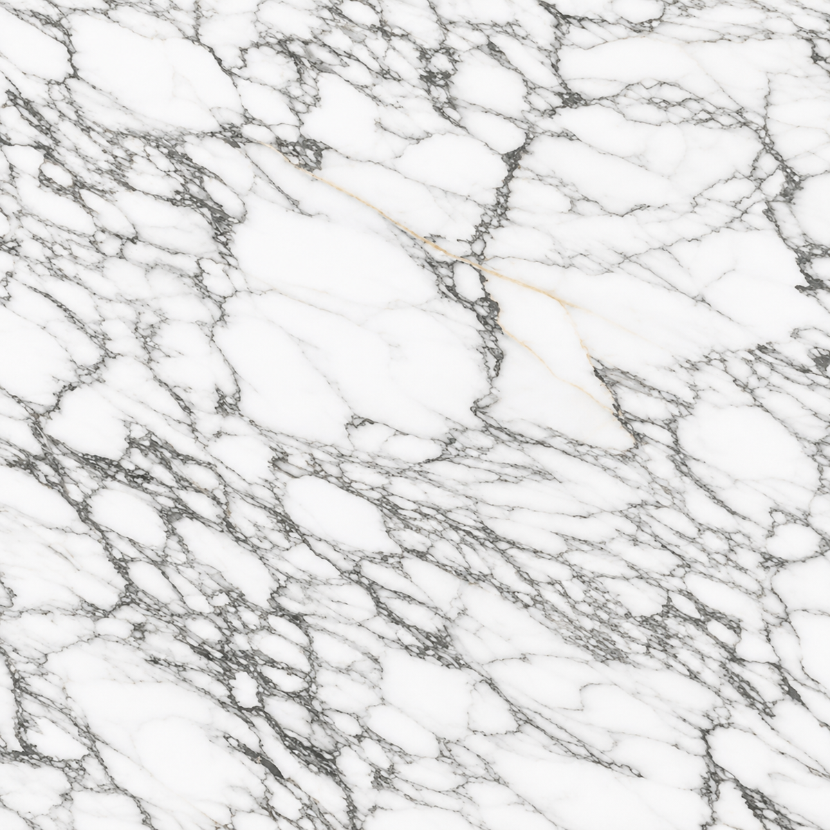 Arabescato Select Marble