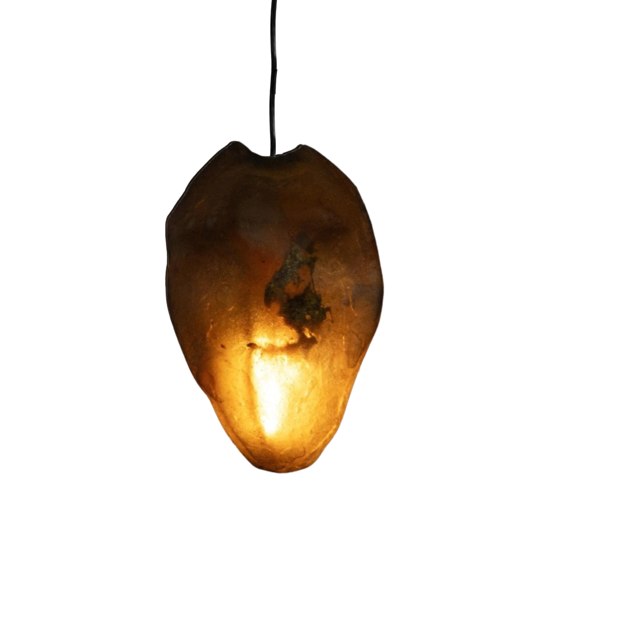 Arche Sculptural Pendant Lamp Unique by William C Stuart