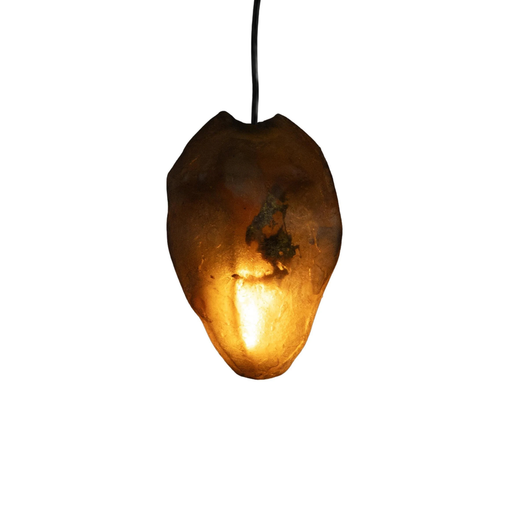 Arche Sculptural Pendant Lamp Unique by William C Stuart