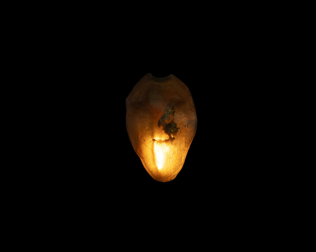 Arche Sculptural Pendant Lamp Unique by William C Stuart N°1