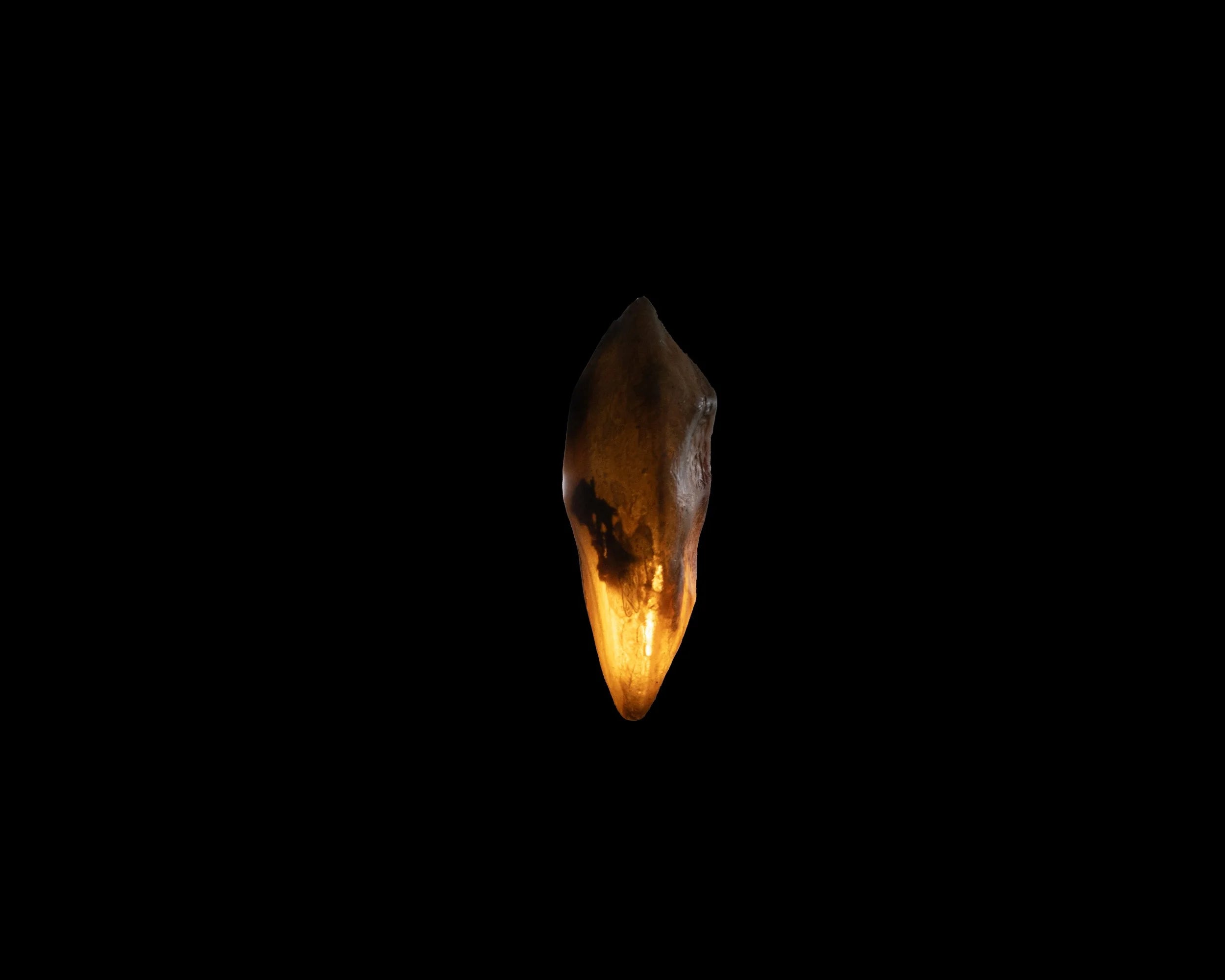 Arche Sculptural Pendant Lamp Unique by William C Stuart N°1