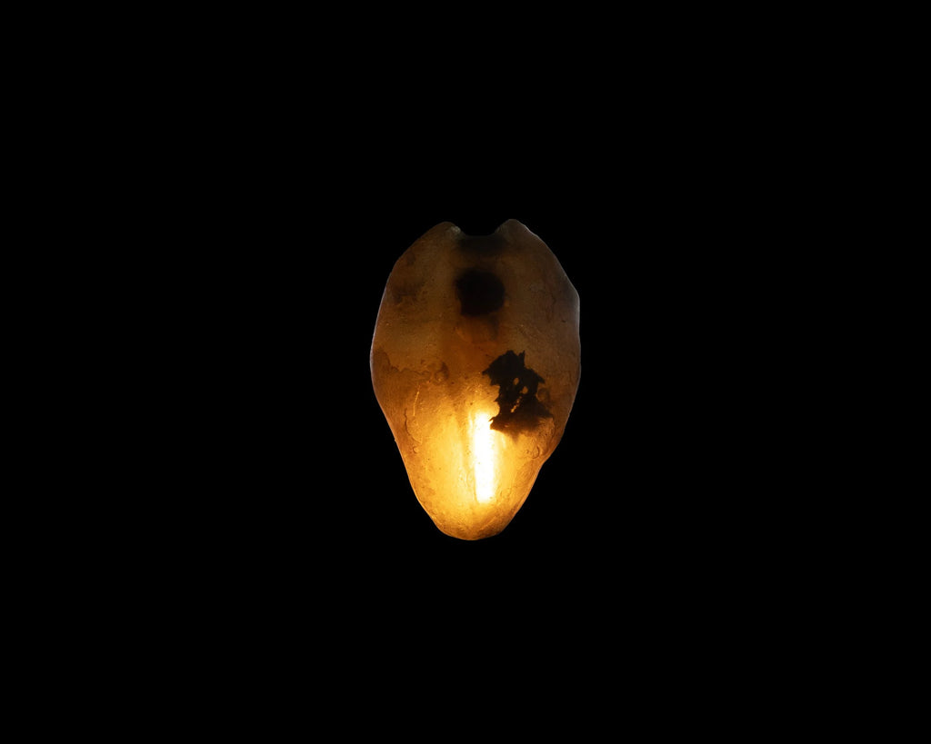 Arche Sculptural Pendant Lamp Unique by William C Stuart N°1