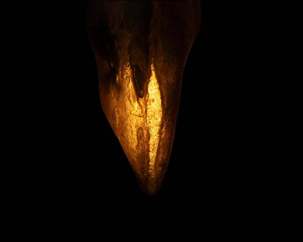 Arche Sculptural Pendant Lamp Unique by William C Stuart N°1