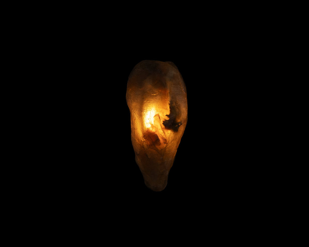 Arche Sculptural Pendant Lamp Unique by William C Stuart N°2
