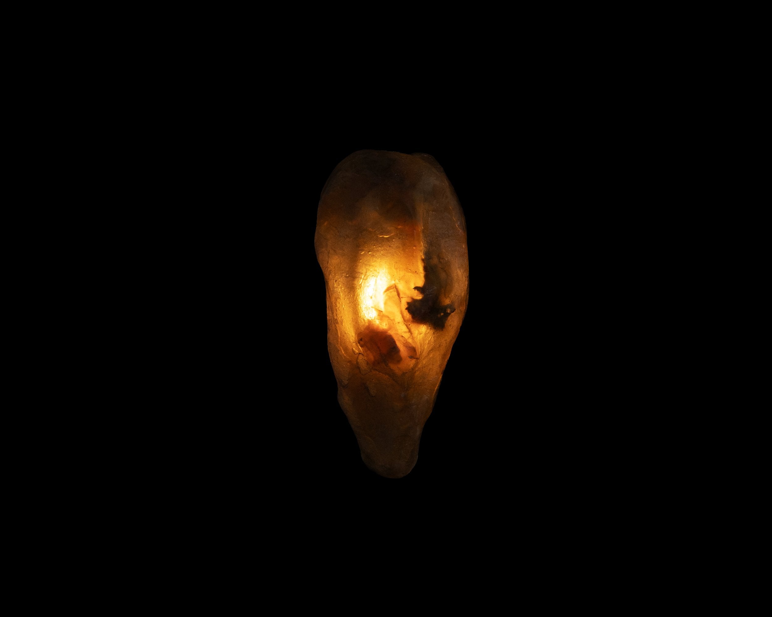 Arche Sculptural Pendant Lamp Unique by William C Stuart N°2
