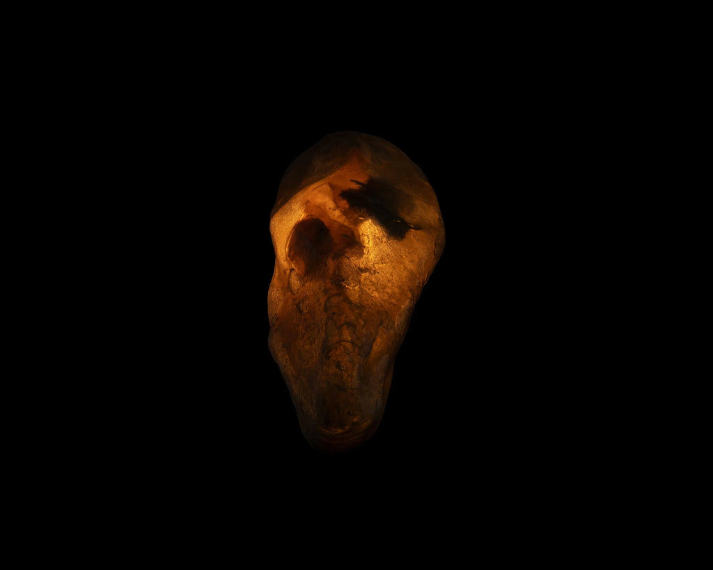 Arche Sculptural Pendant Lamp Unique by William C Stuart N°2