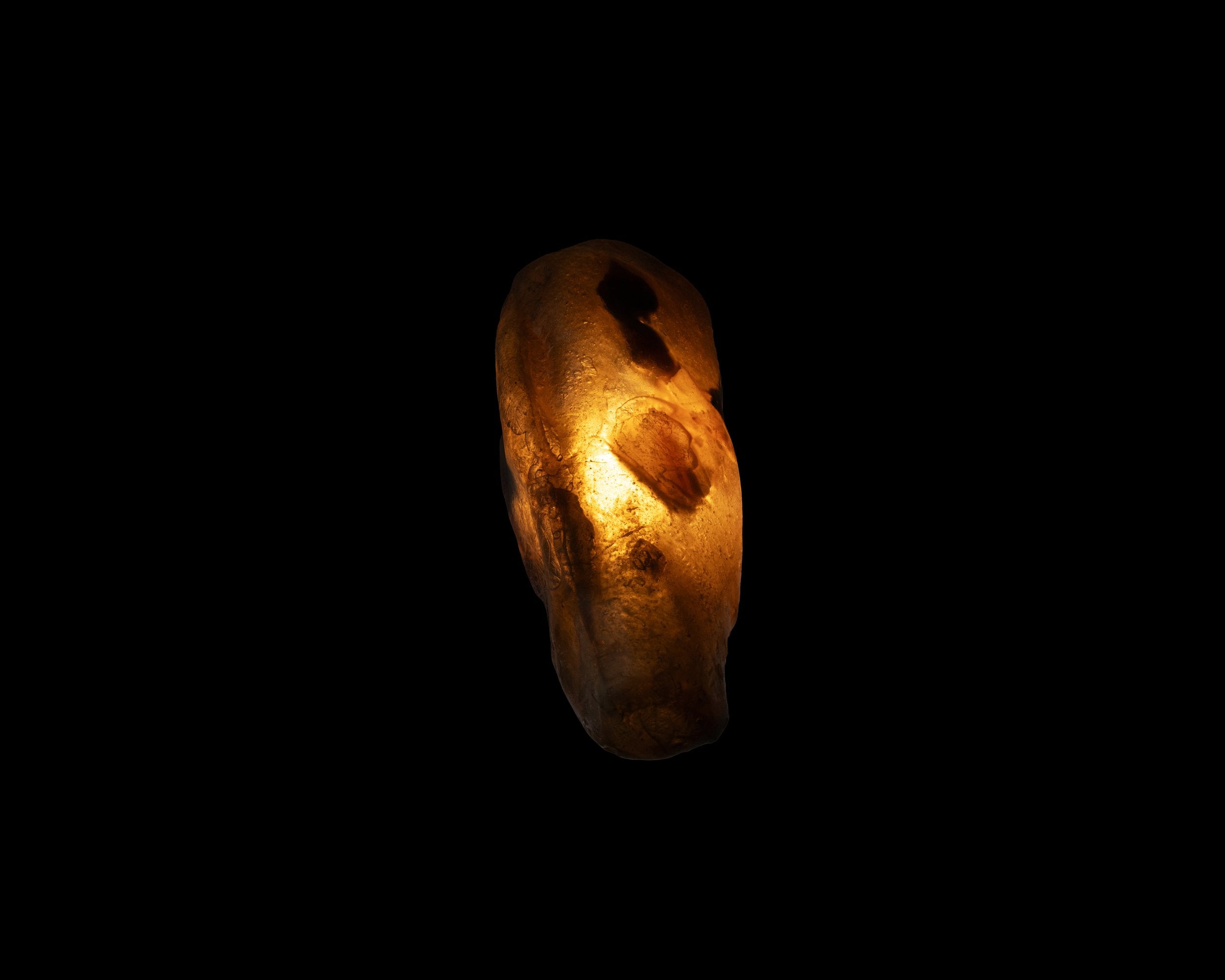 Arche Sculptural Pendant Lamp Unique by William C Stuart N°2