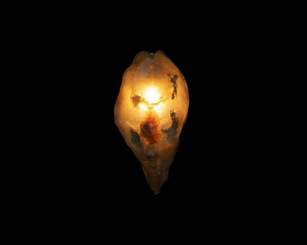 Arche Sculptural Pendant Lamp Unique by William C Stuart N°4