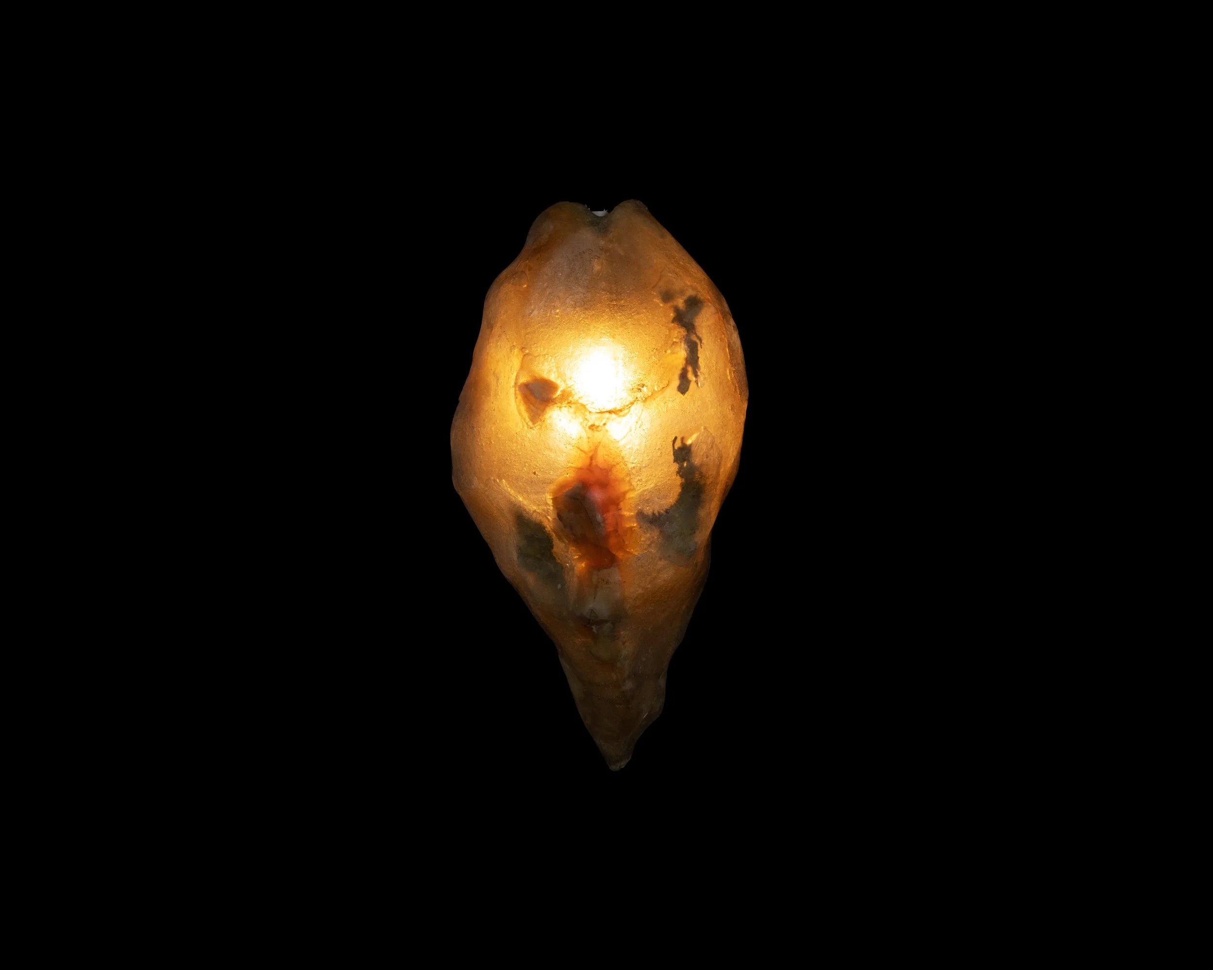 Arche Sculptural Pendant Lamp Unique by William C Stuart N°4
