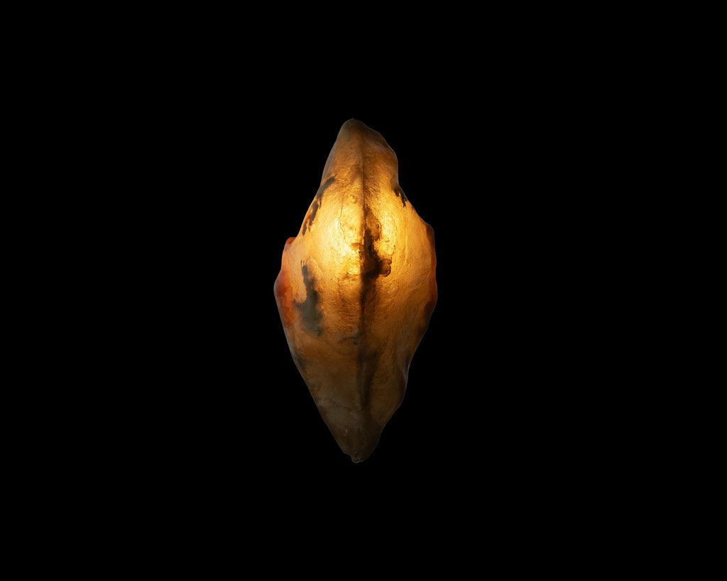 Arche Sculptural Pendant Lamp Unique by William C Stuart N°4