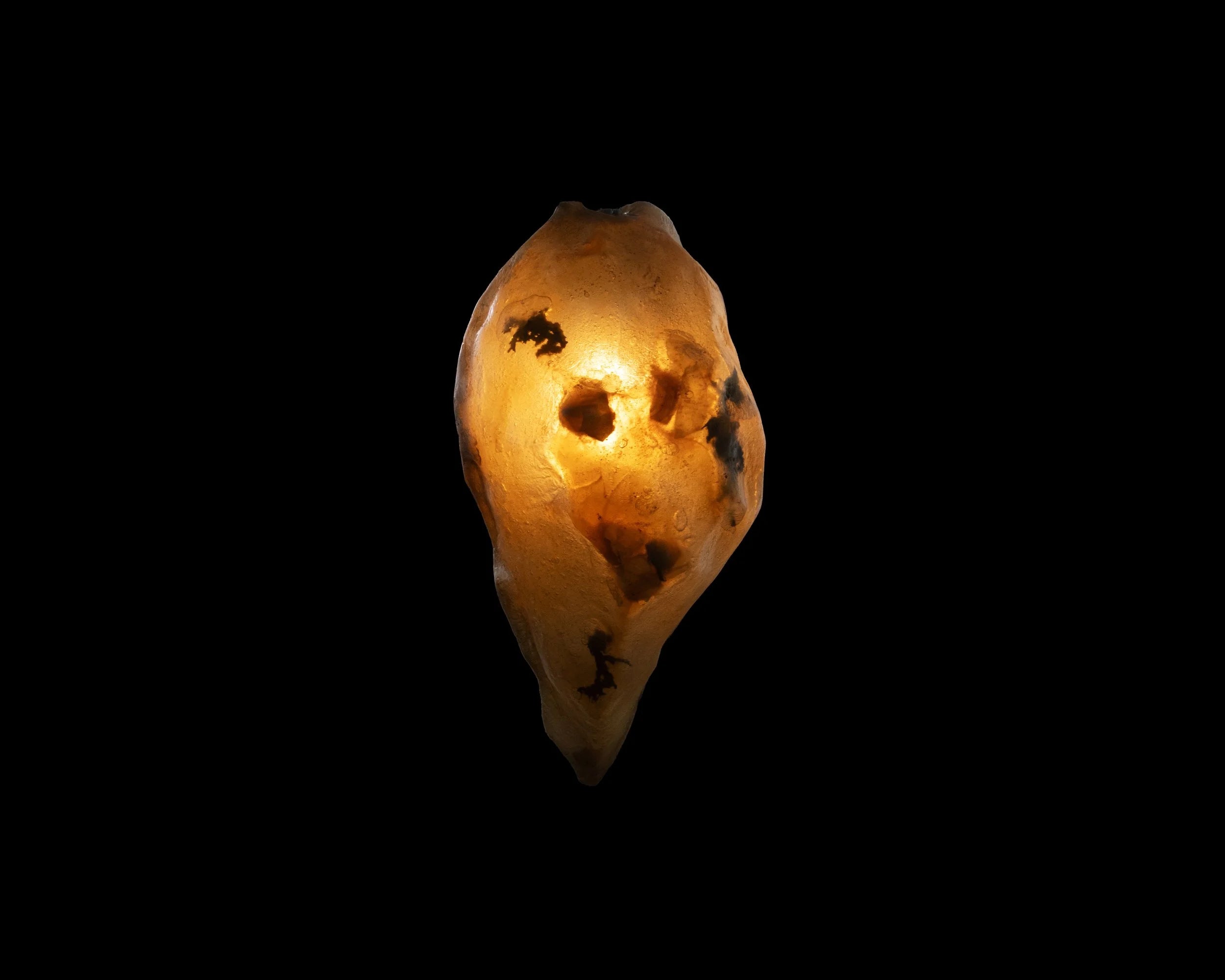 Arche Sculptural Pendant Lamp Unique by William C Stuart N°4