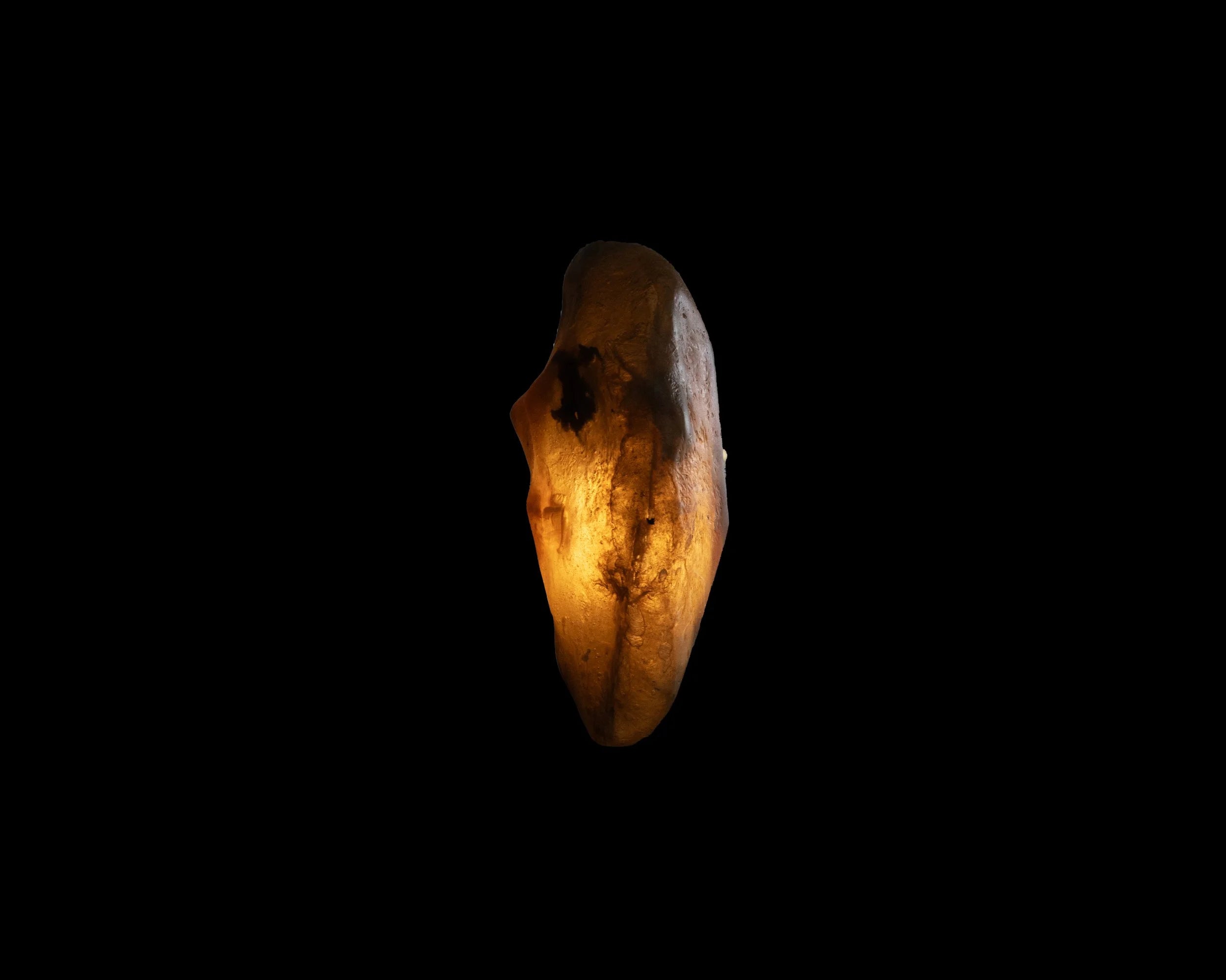 Arche Sculptural Pendant Lamp Unique by William C Stuart N°5