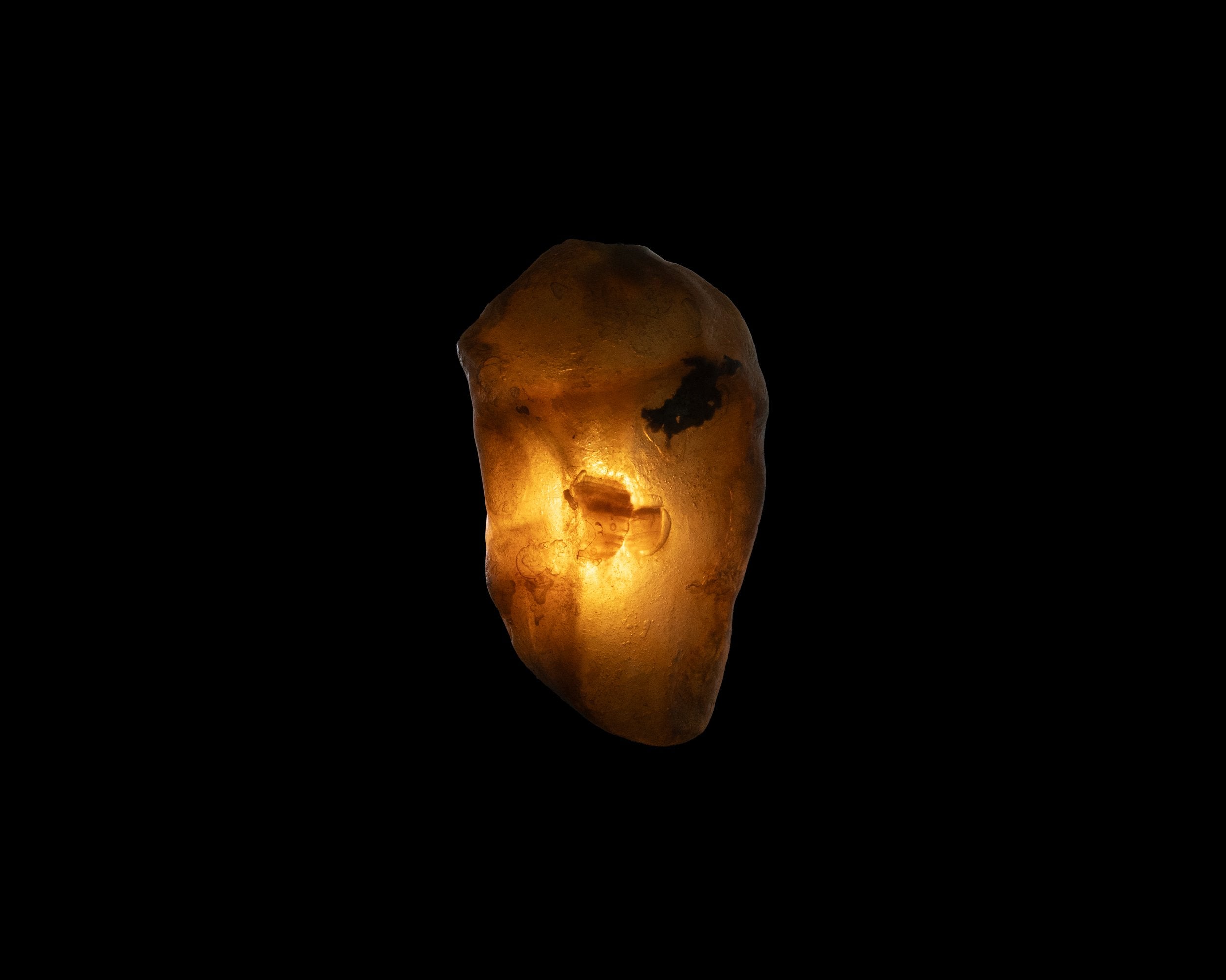 Arche Sculptural Pendant Lamp Unique by William C Stuart N°5