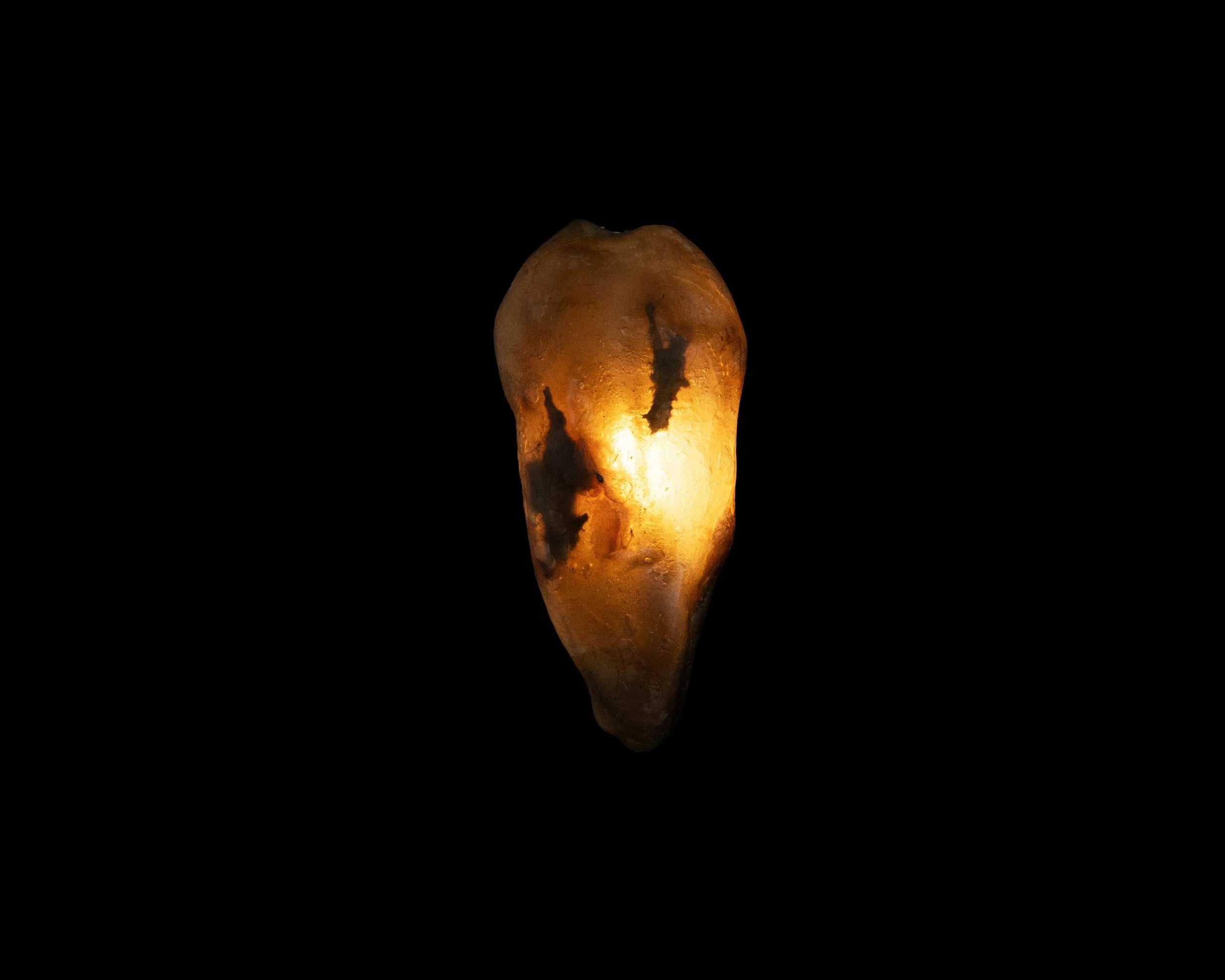Arche Sculptural Pendant Lamp Unique by William C Stuart N°6