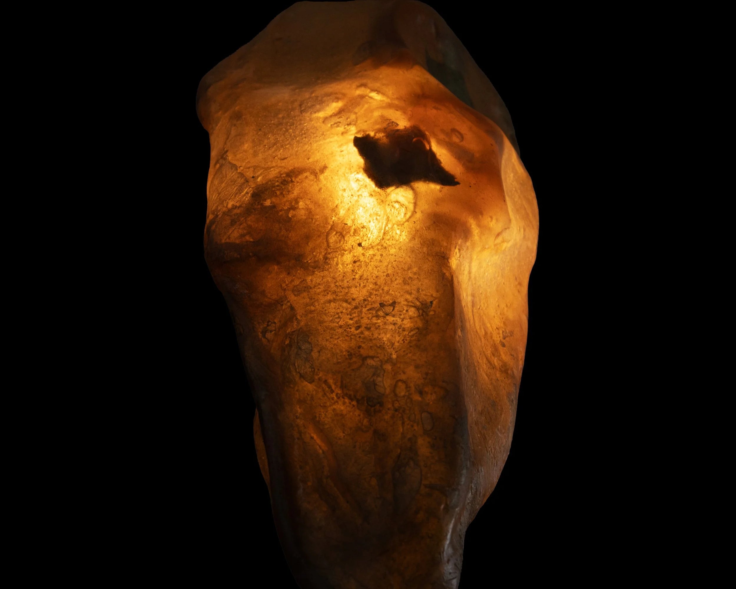 Arche Sculptural Pendant Lamp Unique by William C Stuart N°6