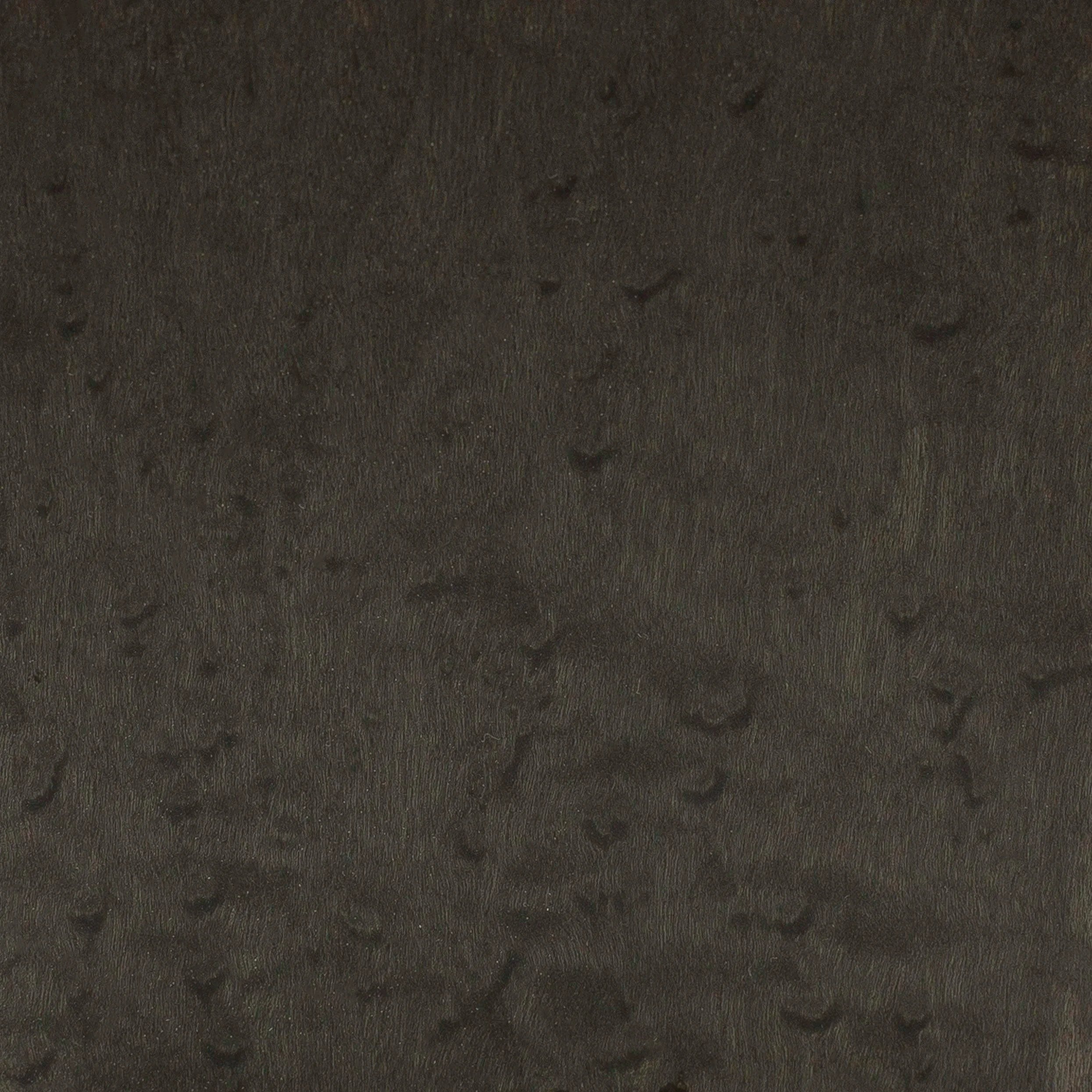 Birdseye Maple Gray