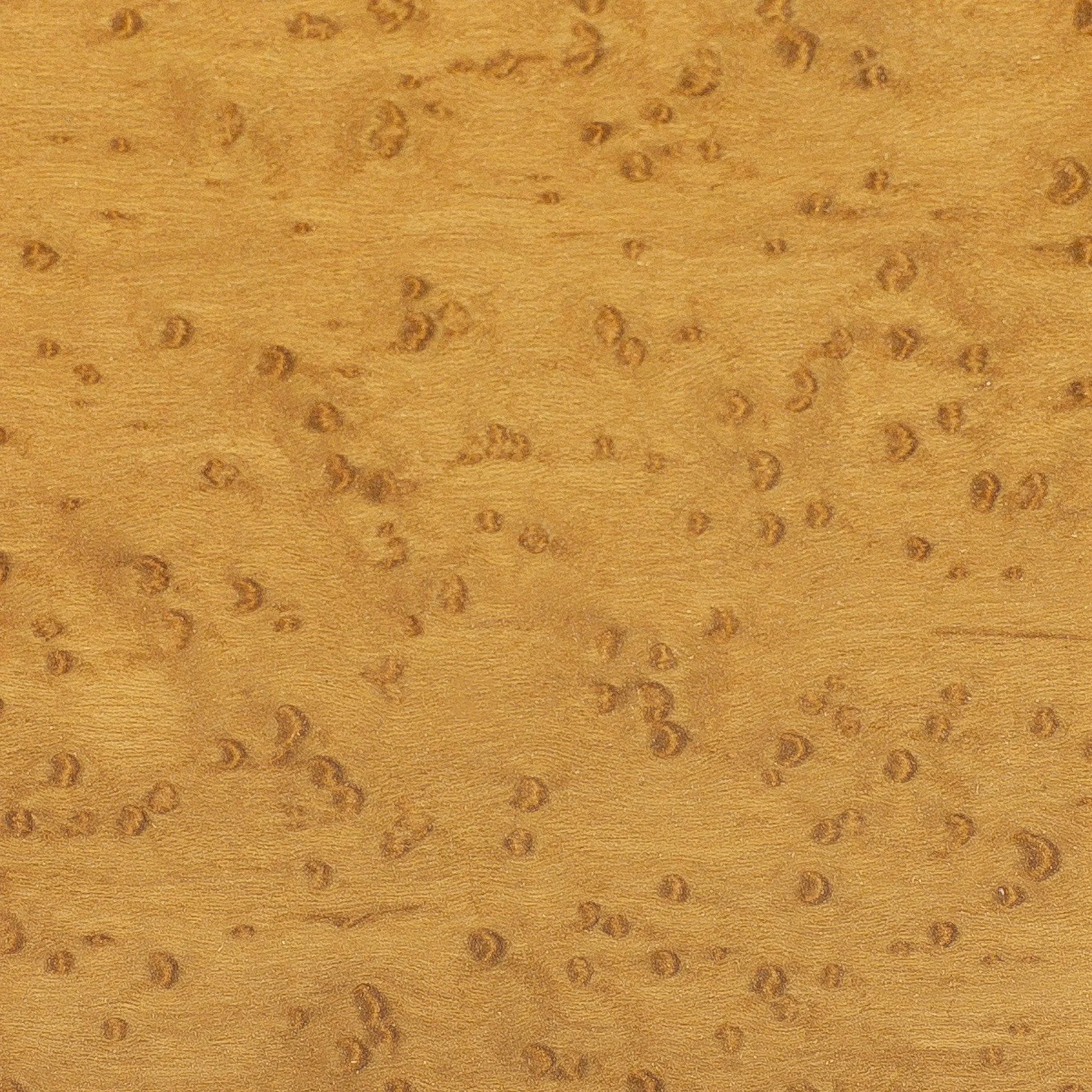 Birdseye Maple Ochre