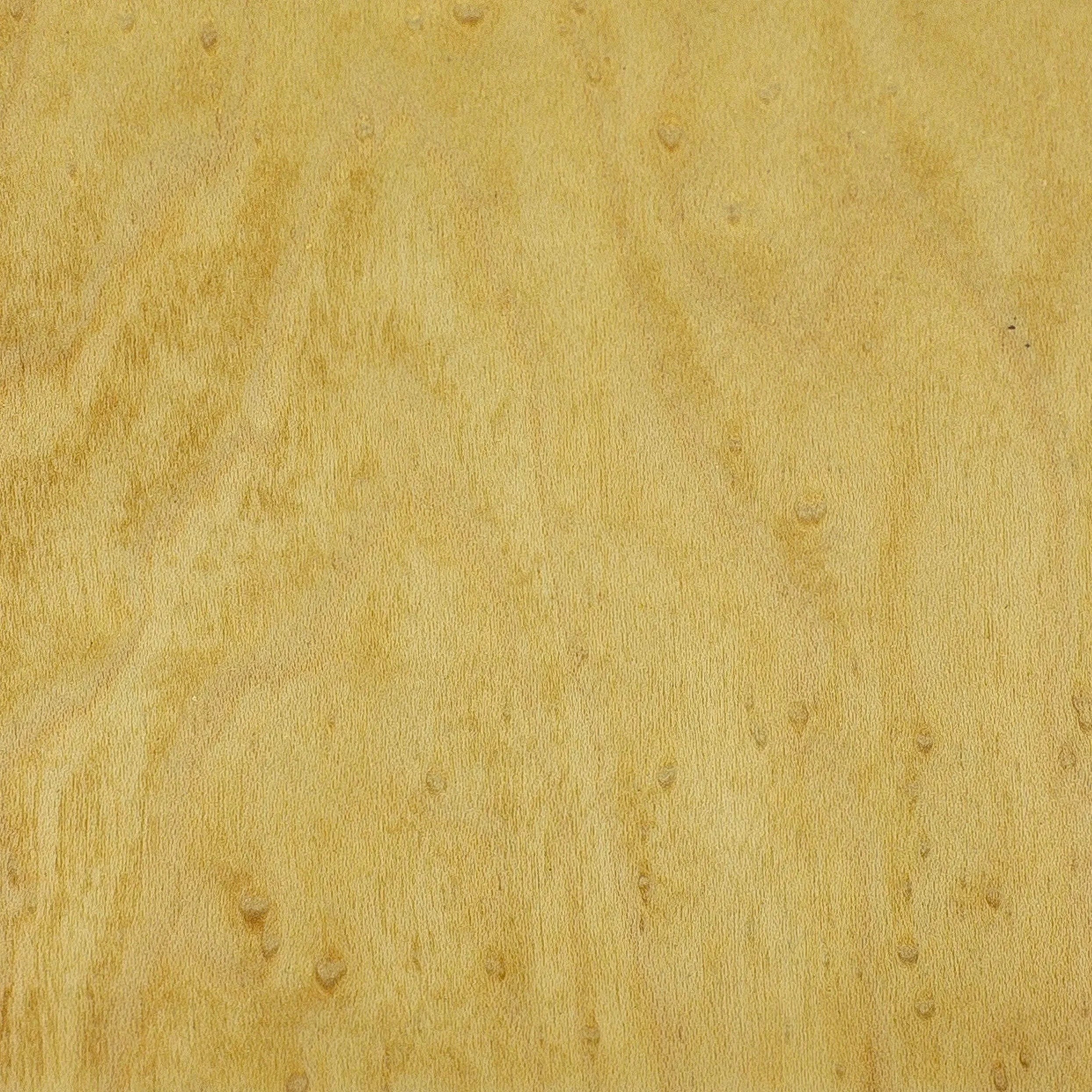 Birdseye Maple White