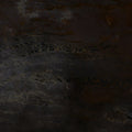 Bronzite Quartzite