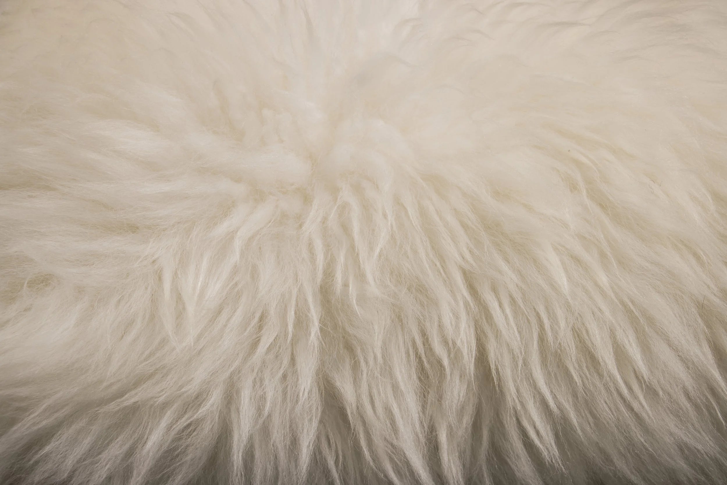 Bruno Ovino Stool in White Sheepskin