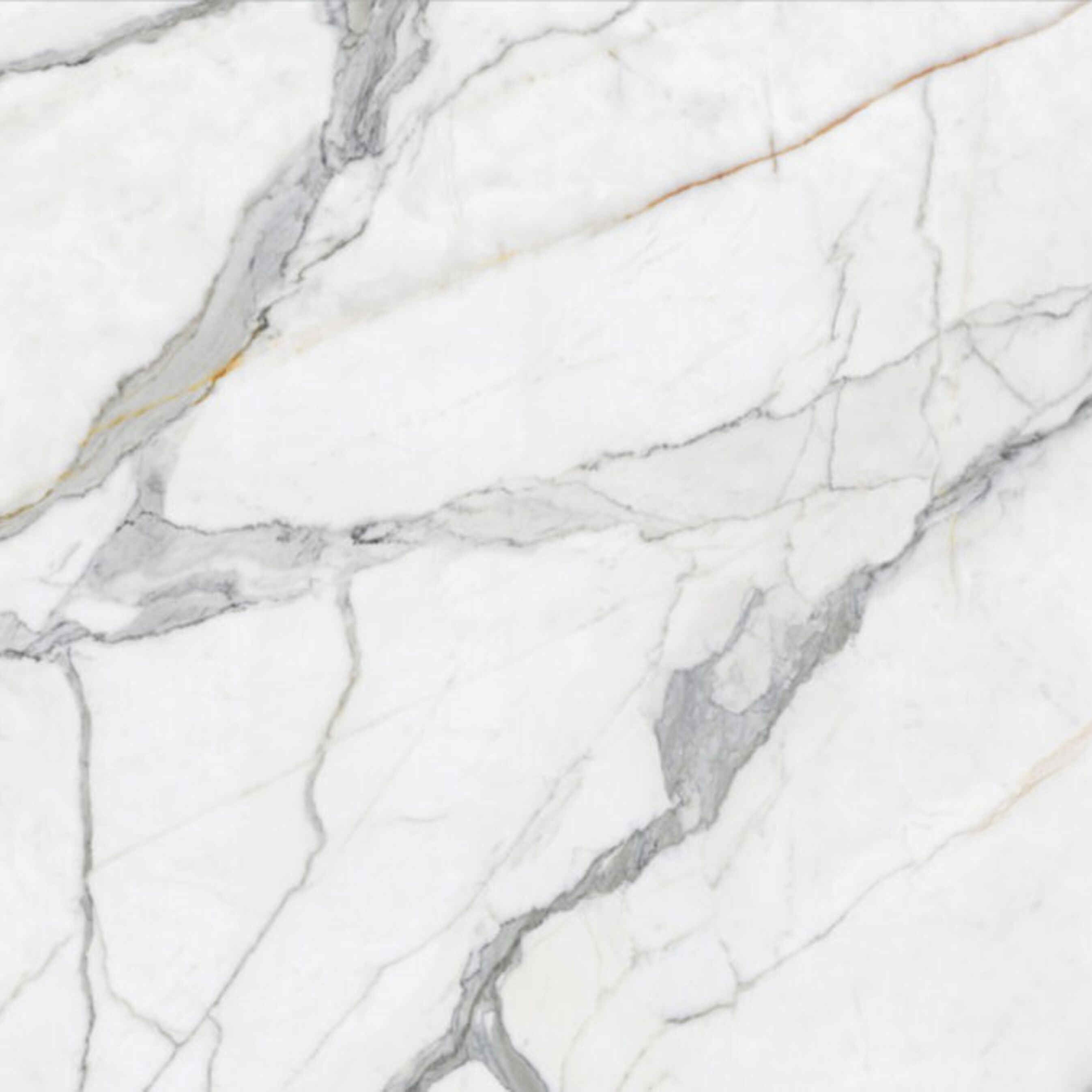 Calacatta Borghini Marble