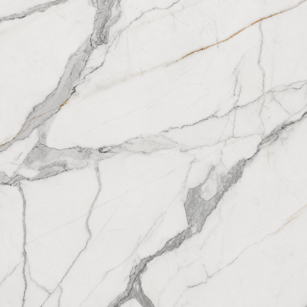 Calacatta Borghini Marble
