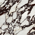 Calacatta Viola Marble