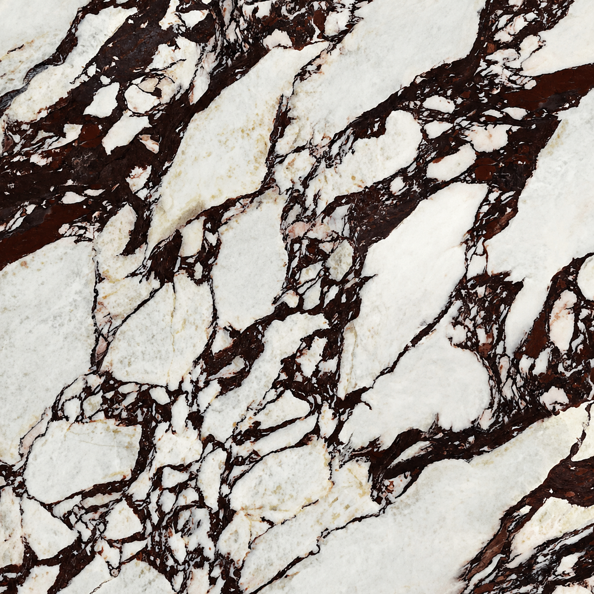 Calacatta Viola Marble
