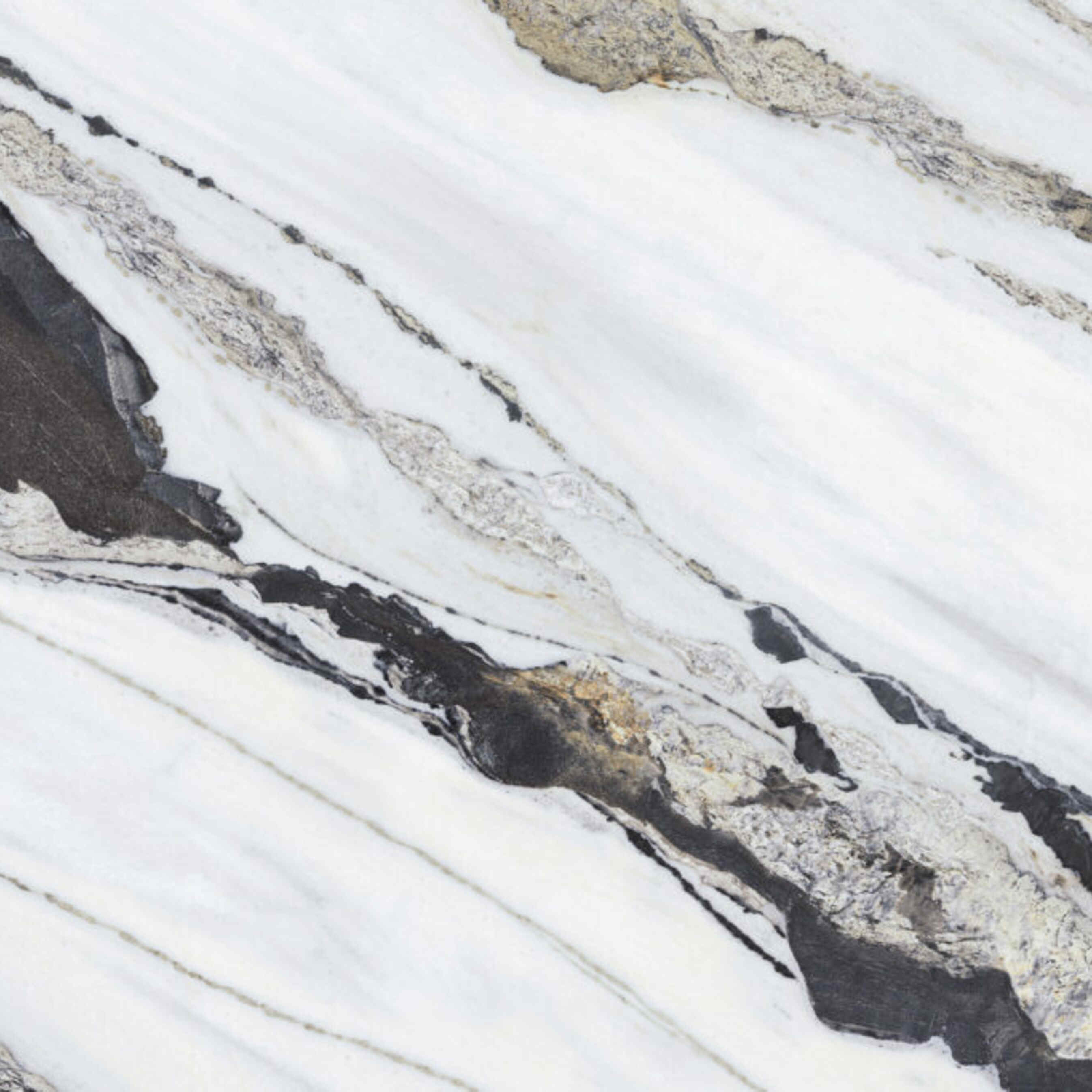 Dalmata Marble