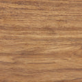 Elm