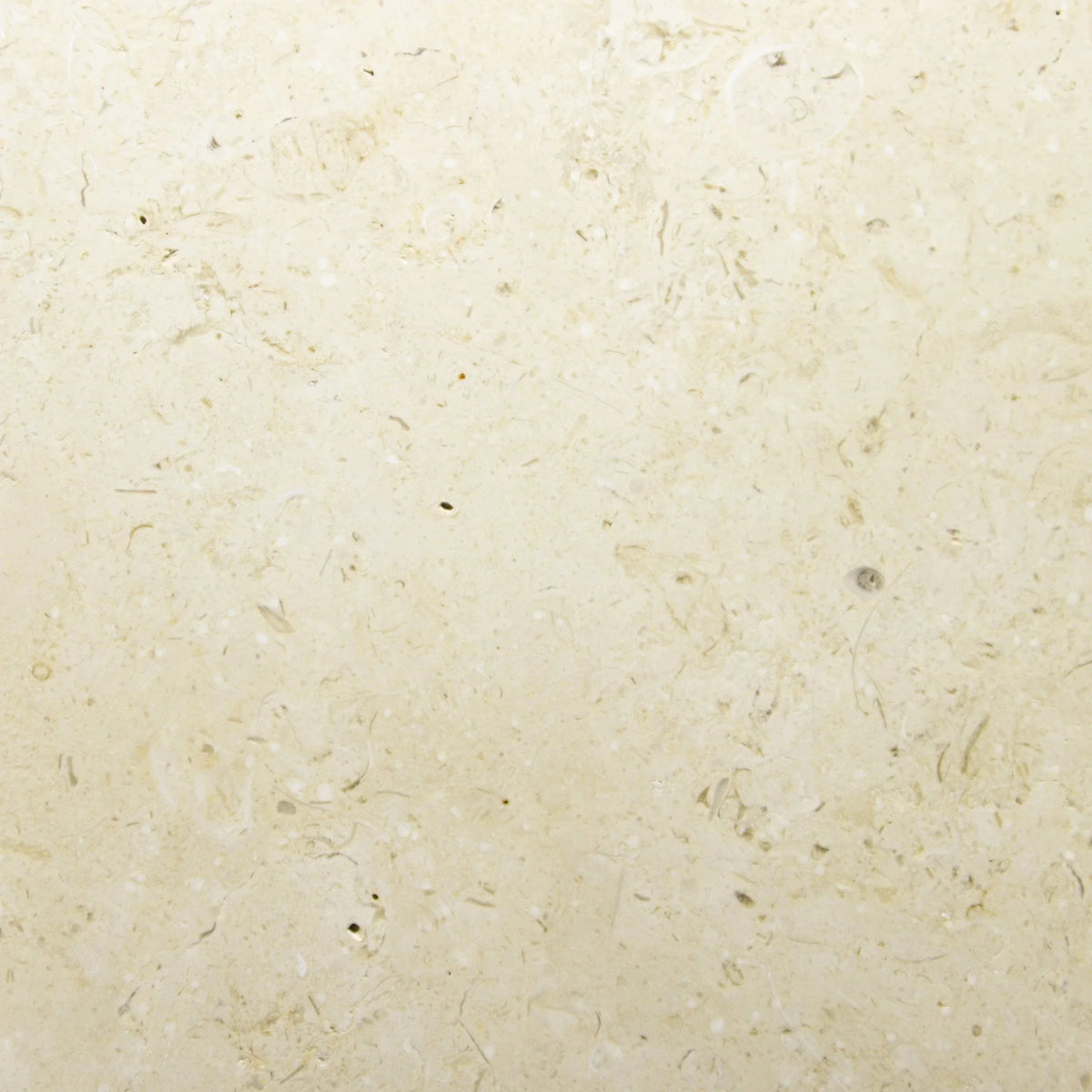 Ivory Cream Marble