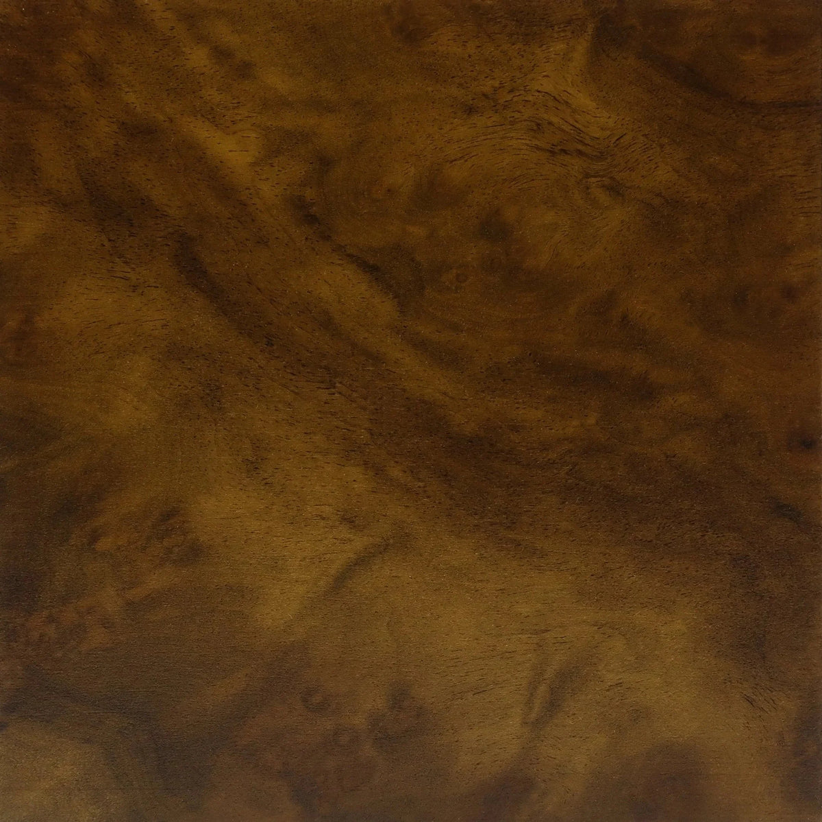 Argentine Walnut Burl