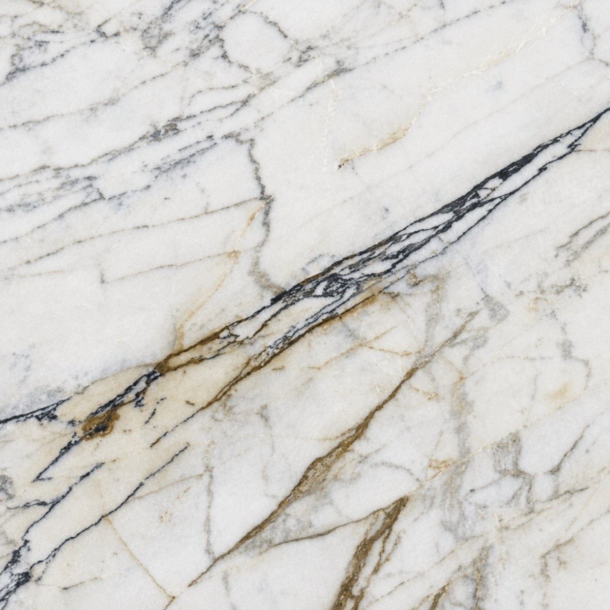 Paonazzo Marble