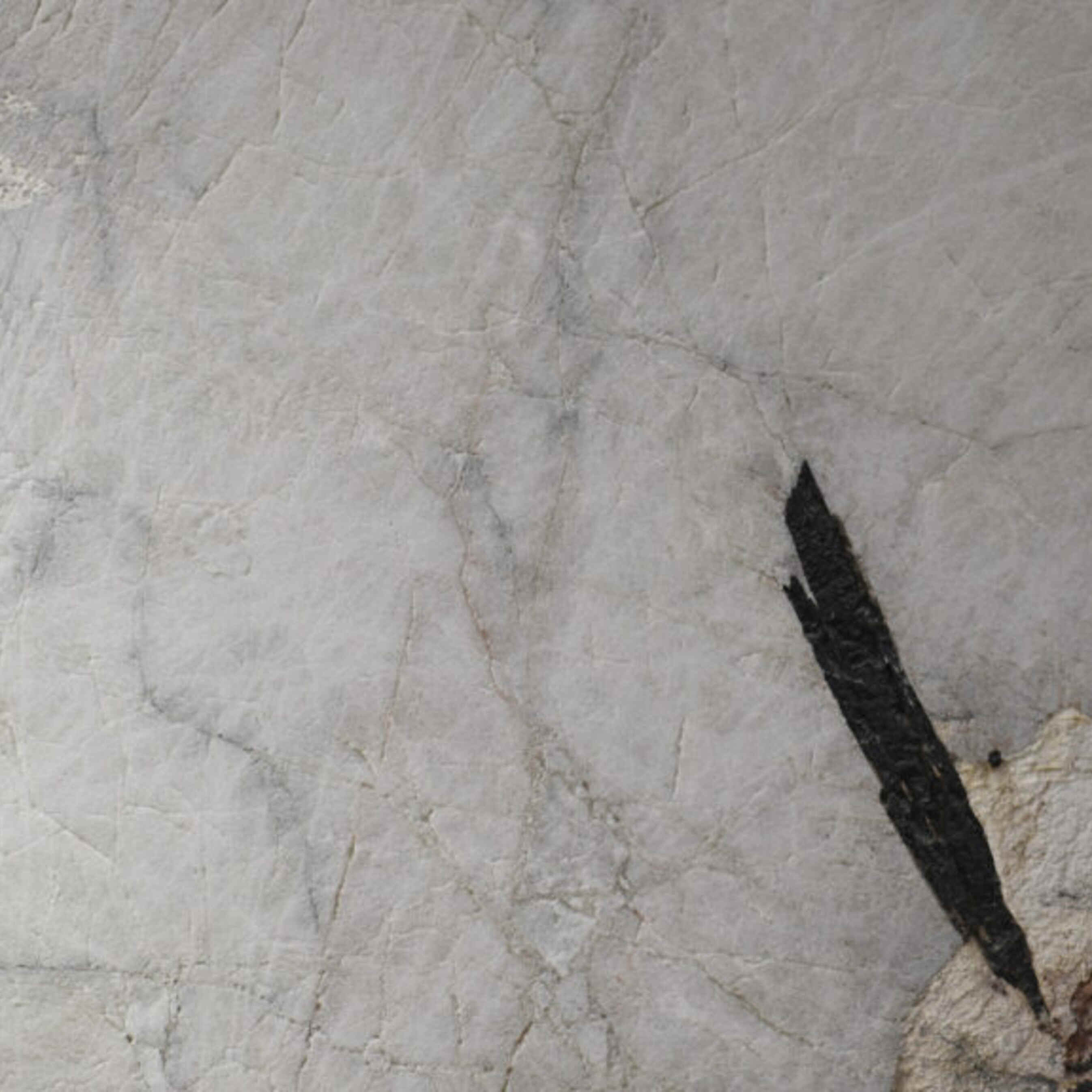 Patagonia Deep Granite