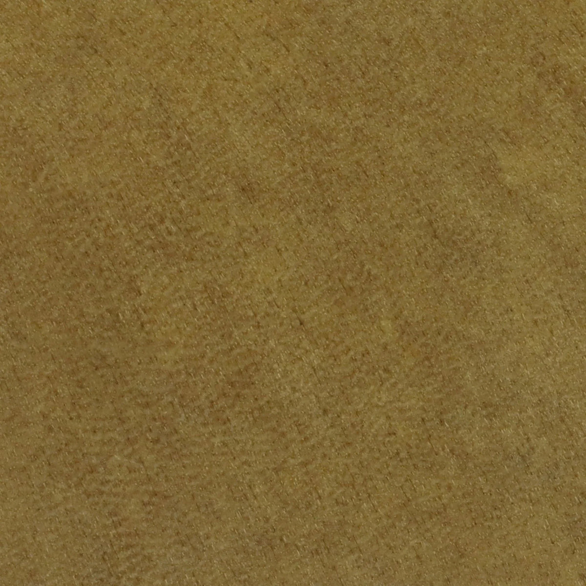 Parchment Caramel