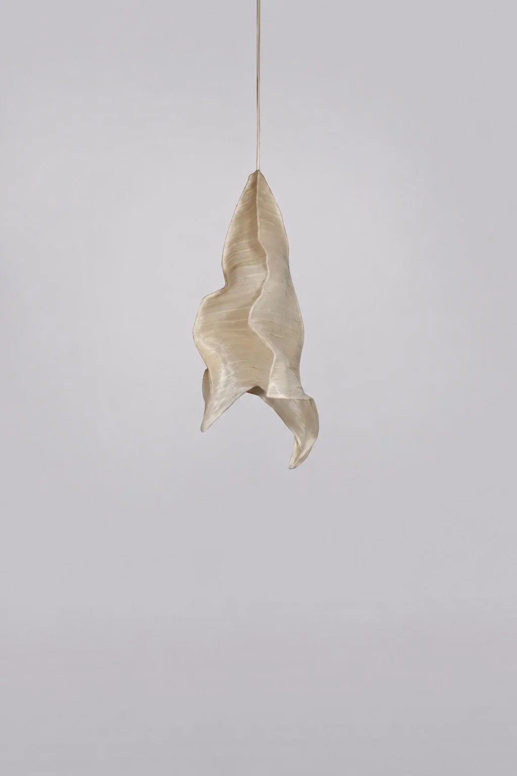 Phantasma Pendant Light  by Mirei Monticelli