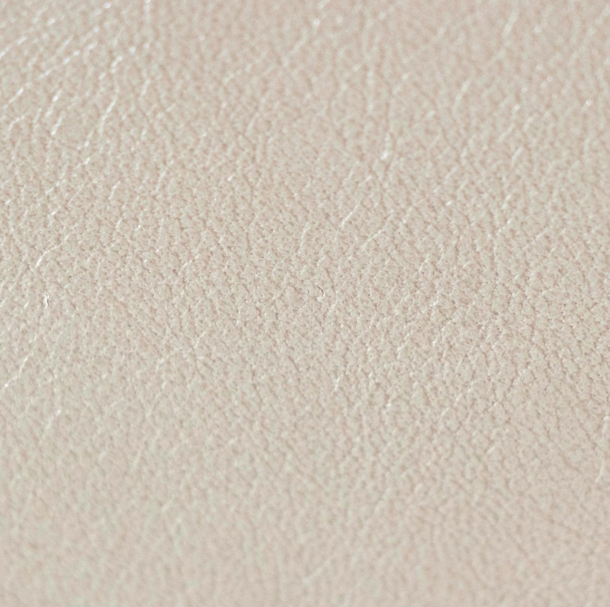 Salina Biscotti Leather