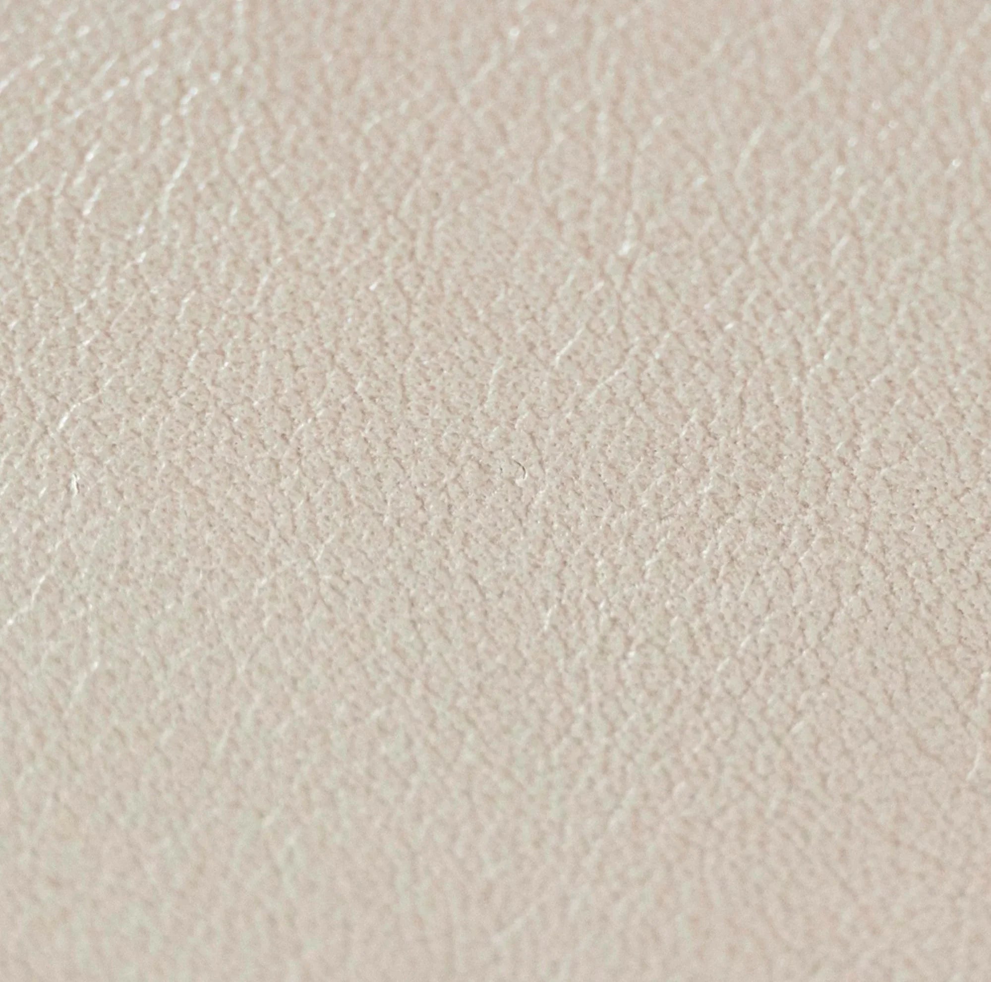 Salina Biscotti Leather