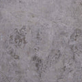 Tundra Grey Marble