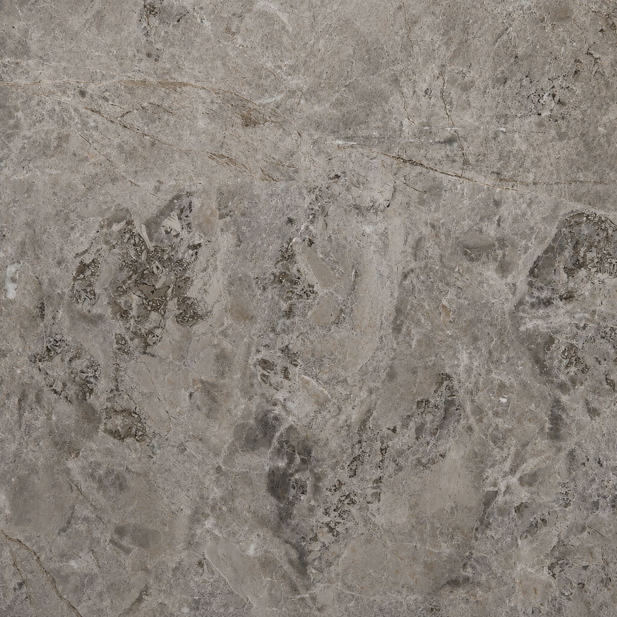 Tundra Grey Marble