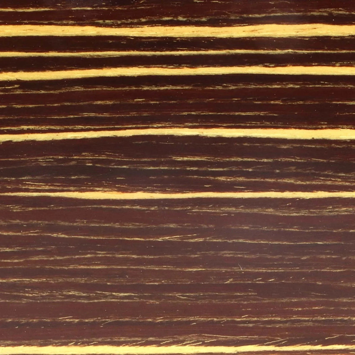 Zebrawood