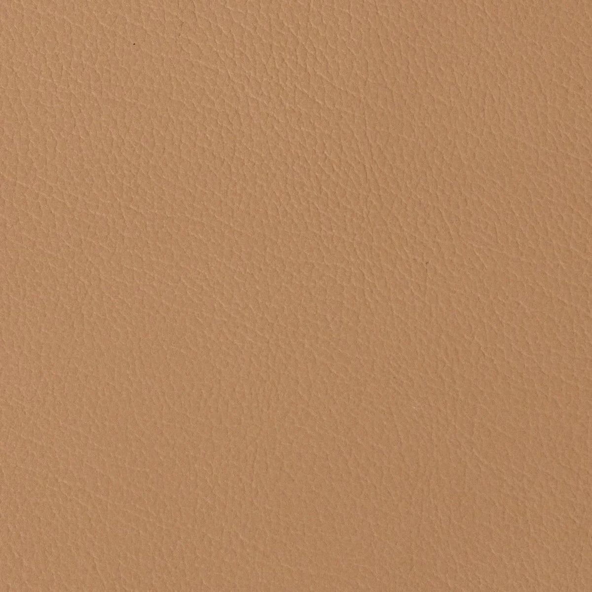 Abruzzo Almond Leather