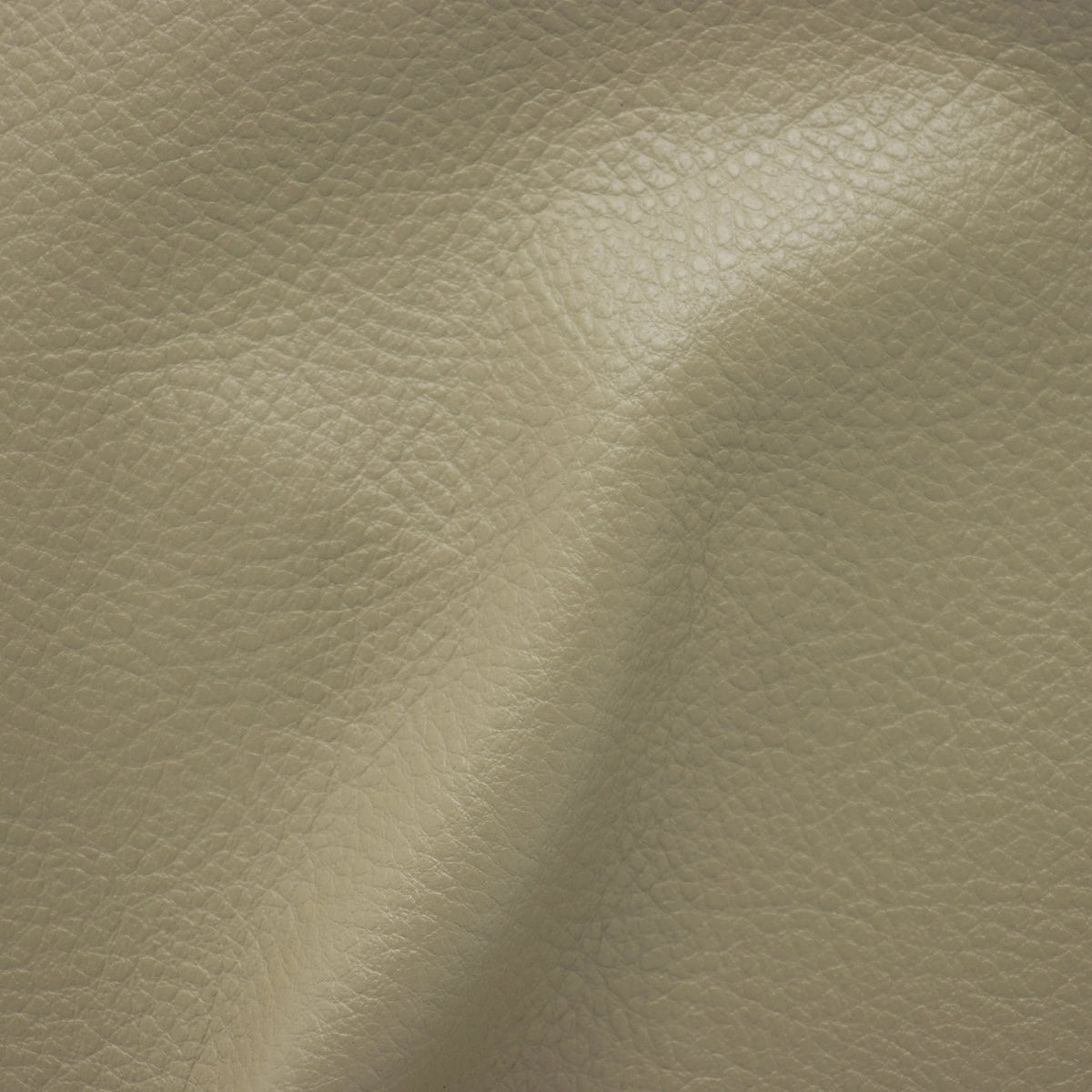 Abruzzo Bone Leather