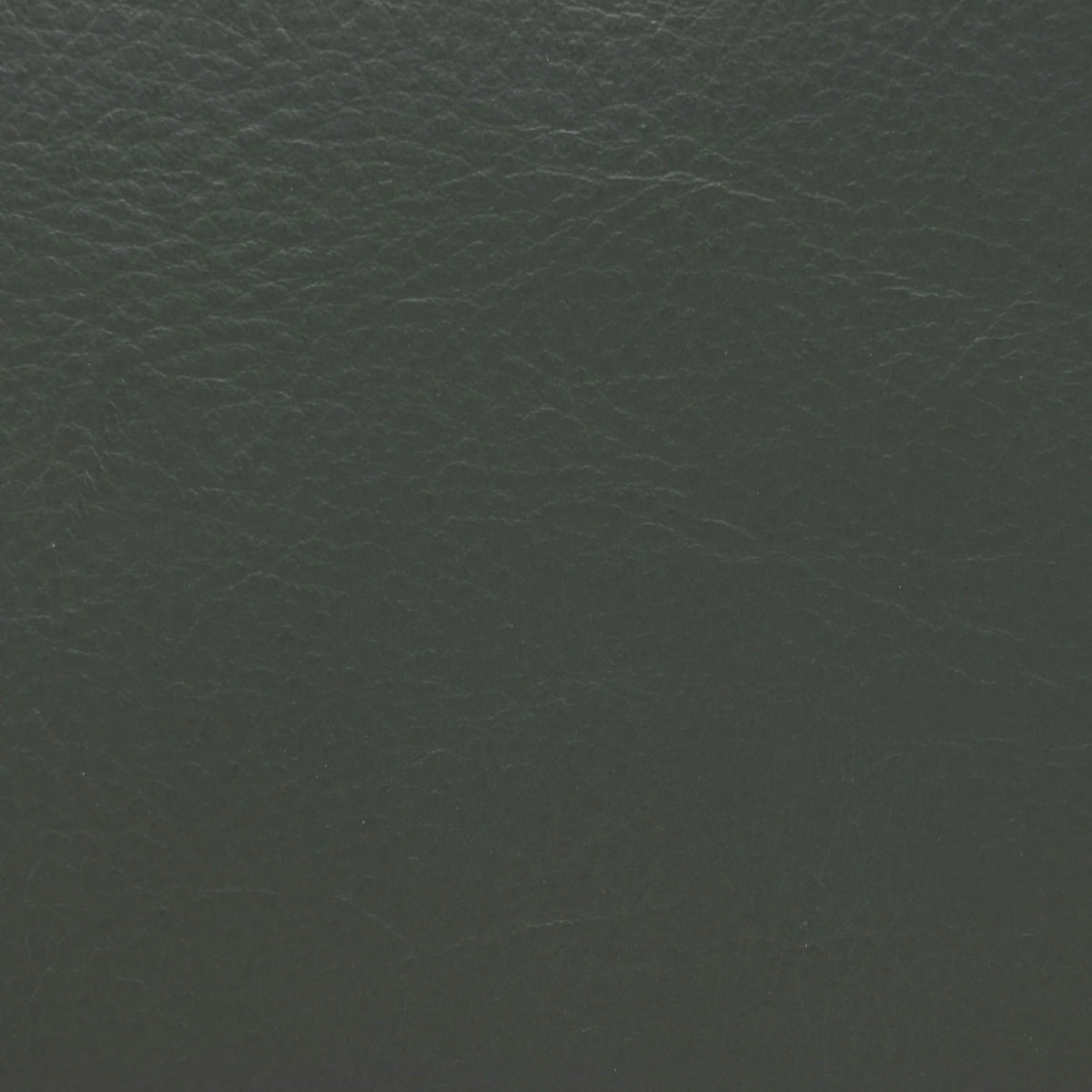 Abruzzo Forest Leather