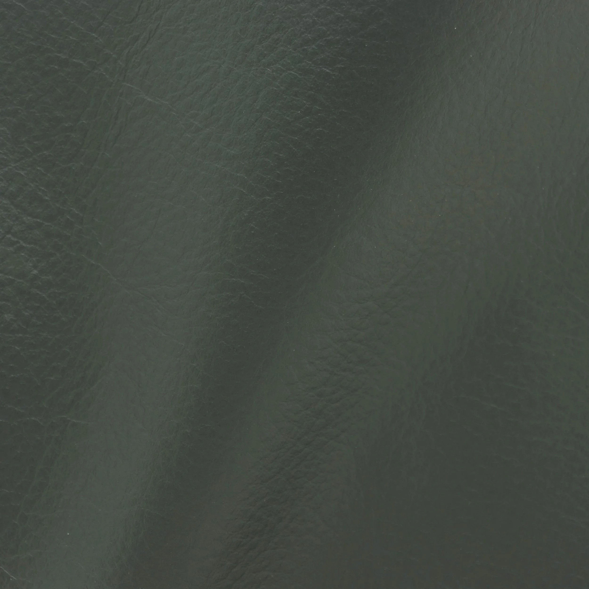 Abruzzo Forest Leather