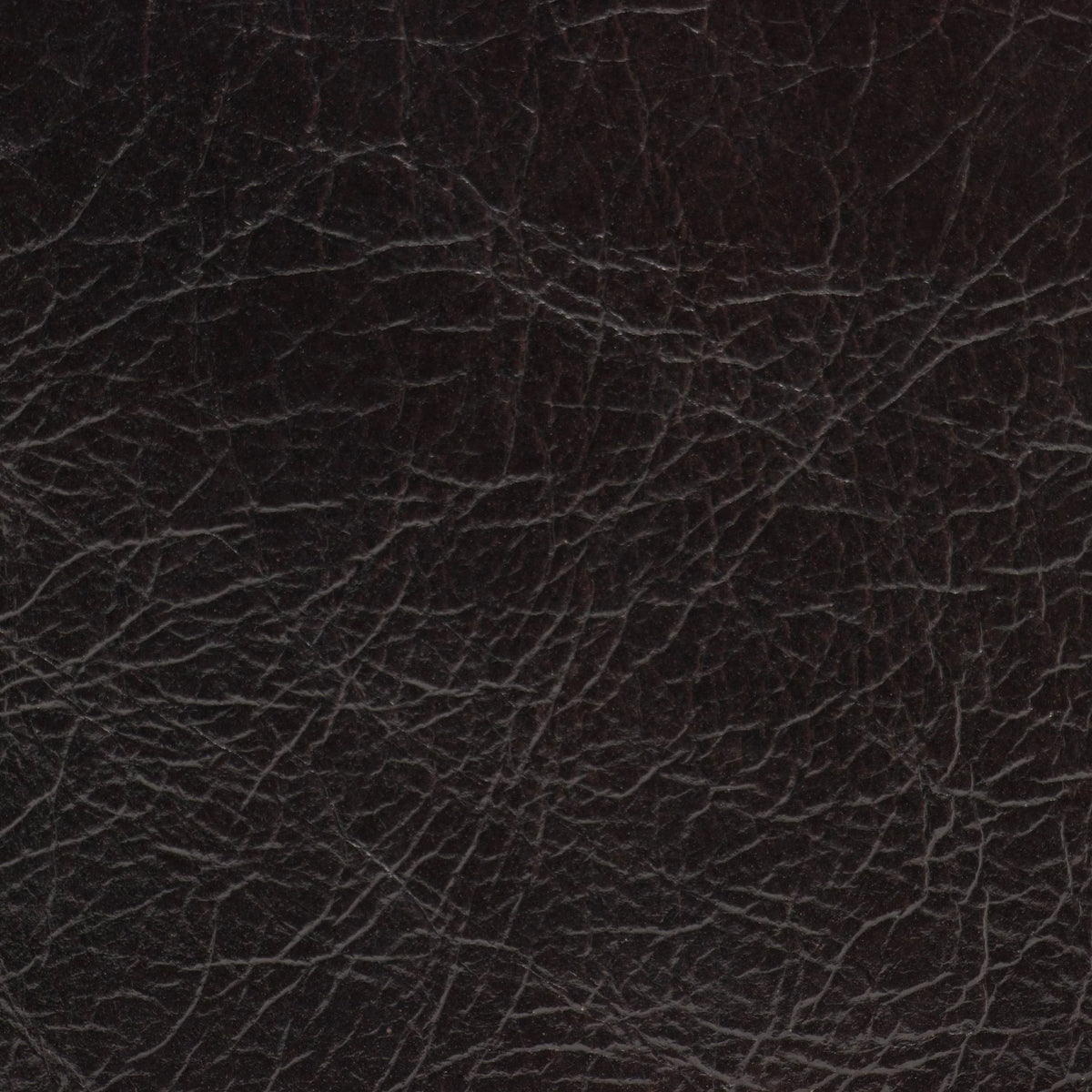Amalfi Humus Leather