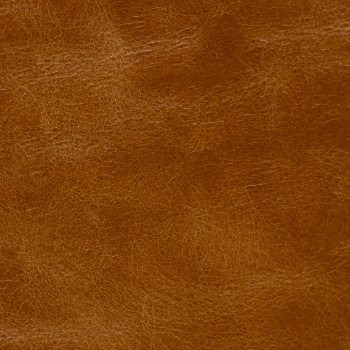 Bari Cognac Leather